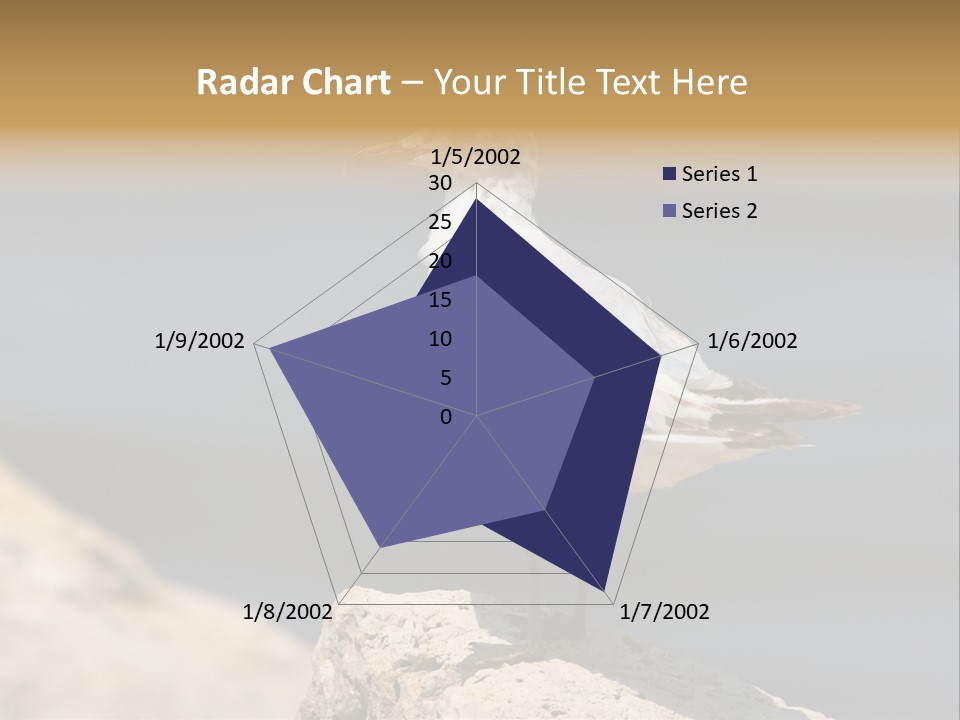 Species Mediterranean Birdwatching PowerPoint Template