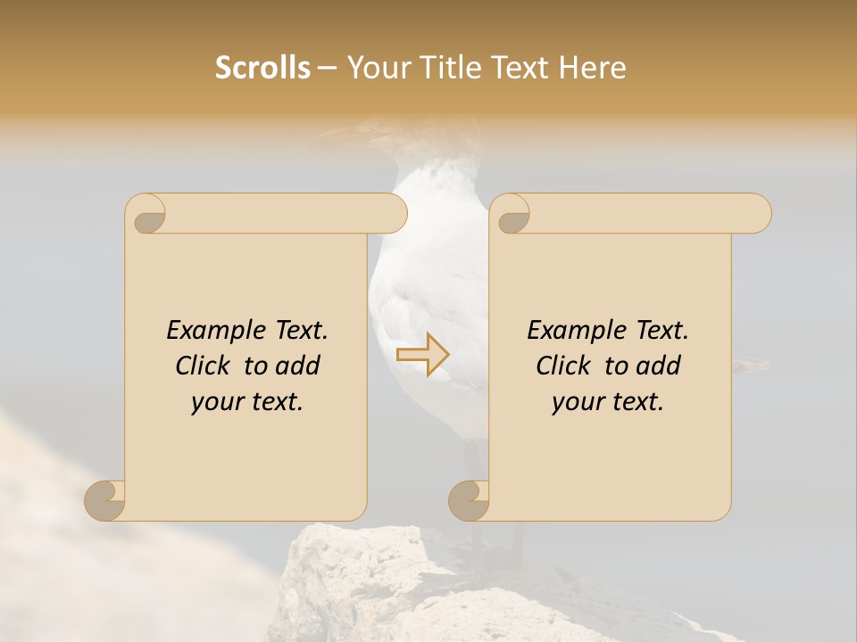 Species Mediterranean Birdwatching PowerPoint Template