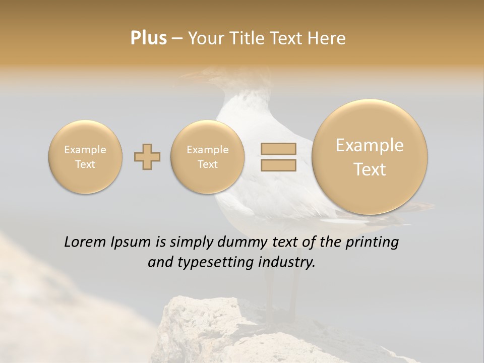 Species Mediterranean Birdwatching PowerPoint Template