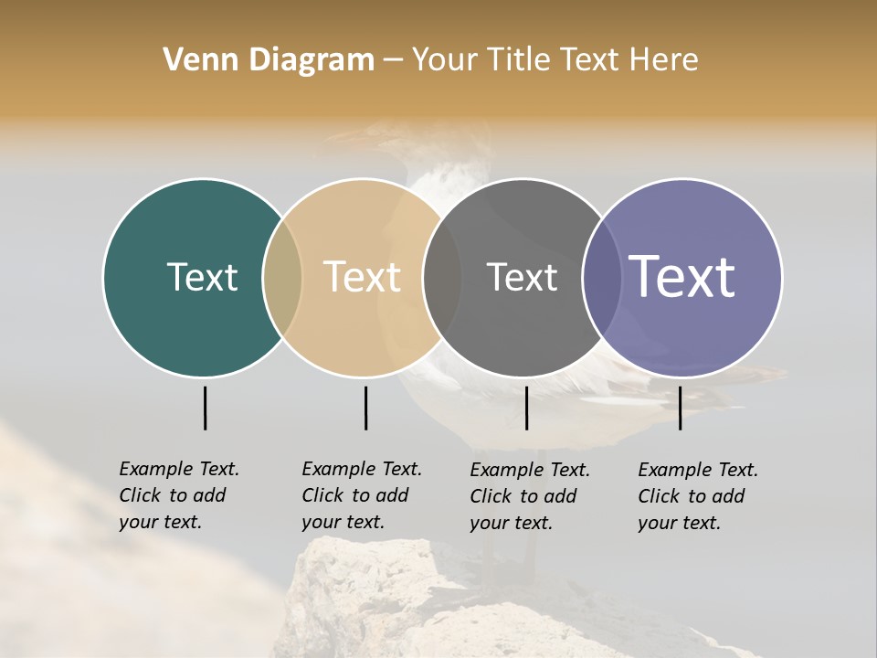 Species Mediterranean Birdwatching PowerPoint Template