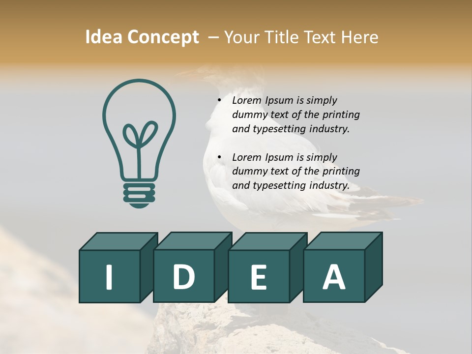 Species Mediterranean Birdwatching PowerPoint Template