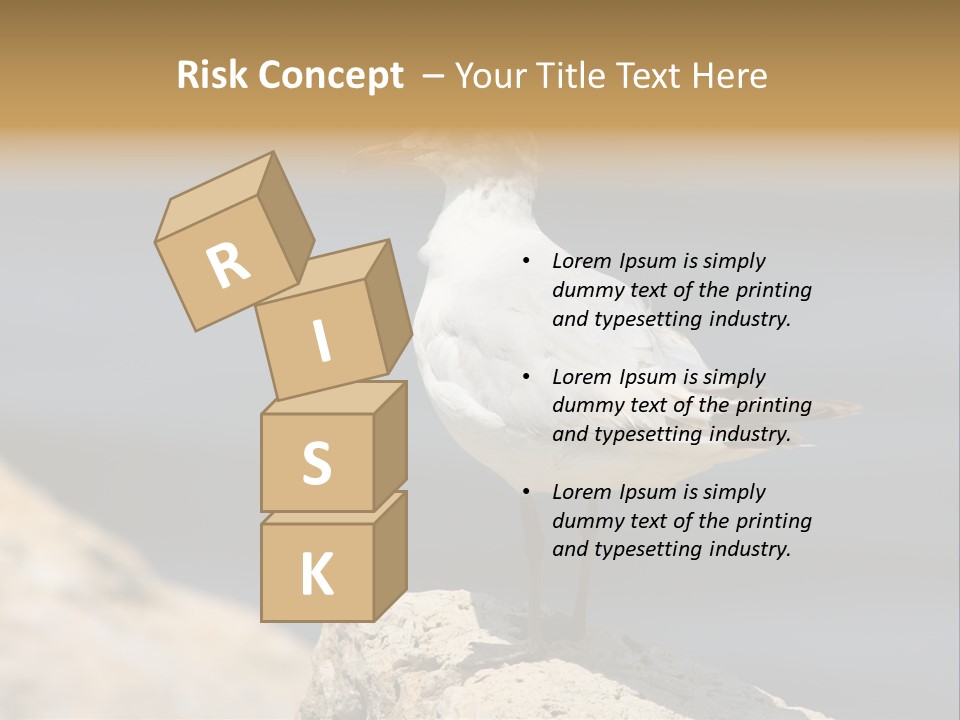 Species Mediterranean Birdwatching PowerPoint Template