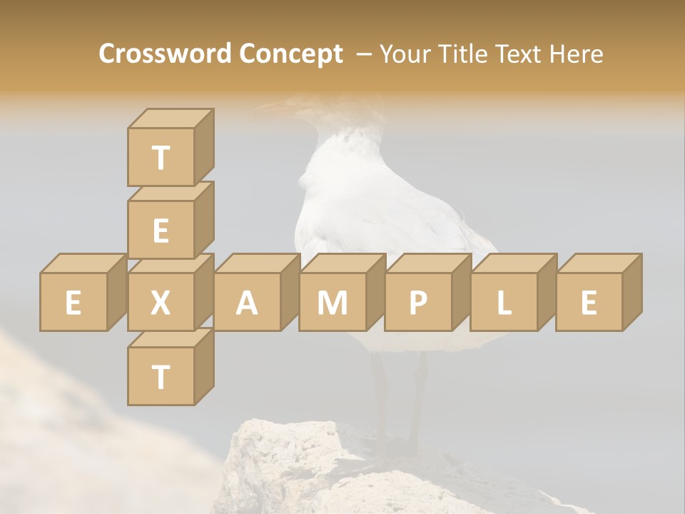 Species Mediterranean Birdwatching PowerPoint Template