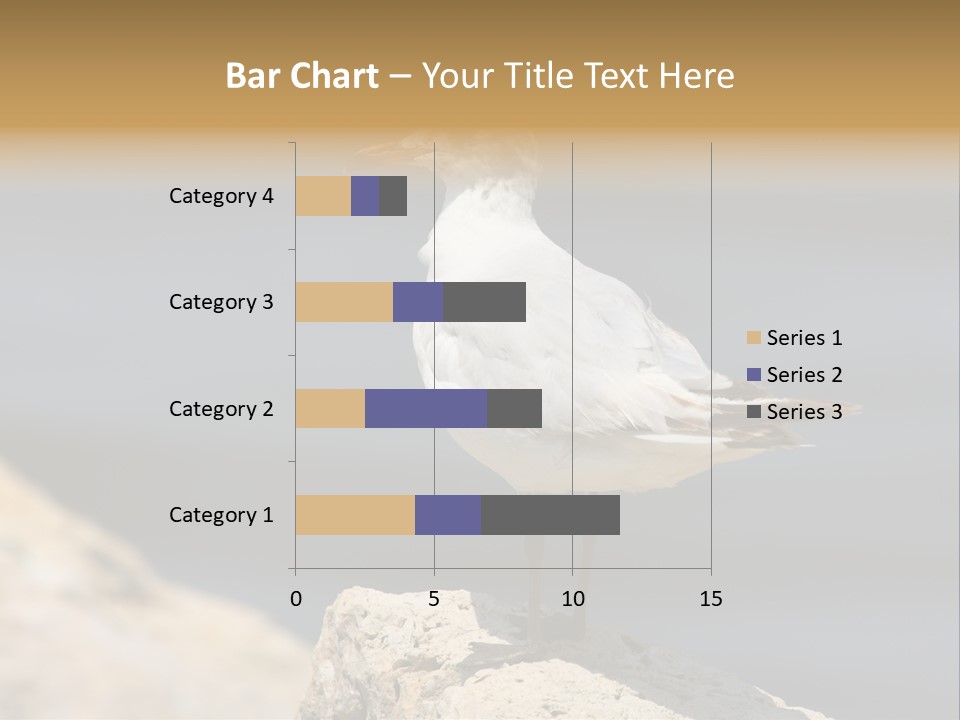 Species Mediterranean Birdwatching PowerPoint Template