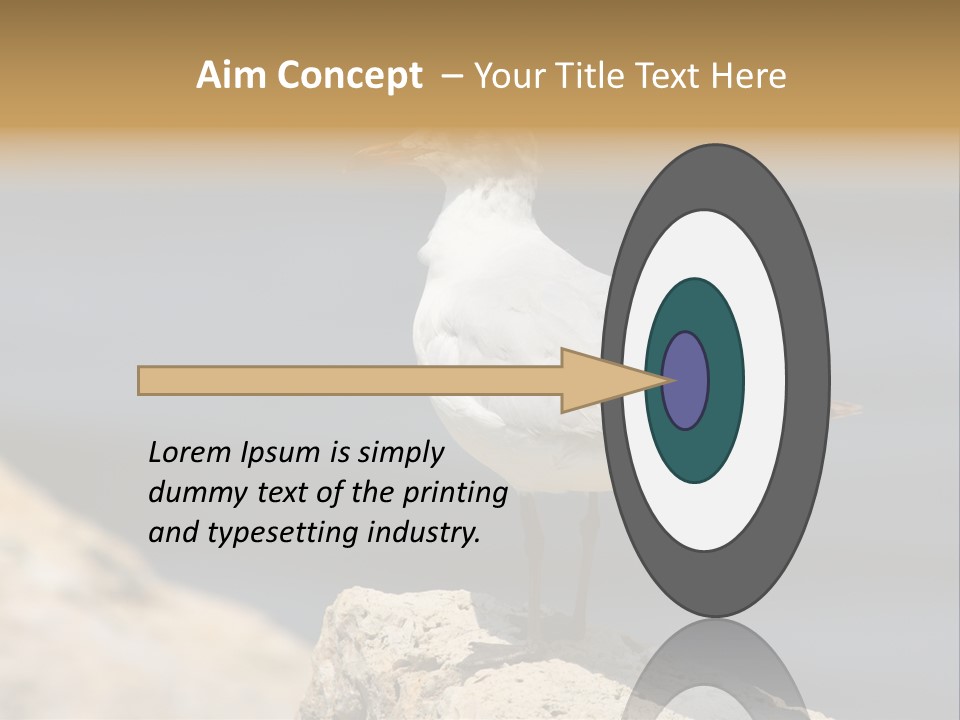 Species Mediterranean Birdwatching PowerPoint Template