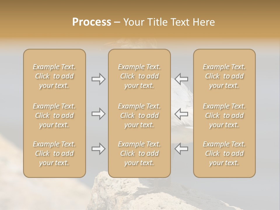 Species Mediterranean Birdwatching PowerPoint Template