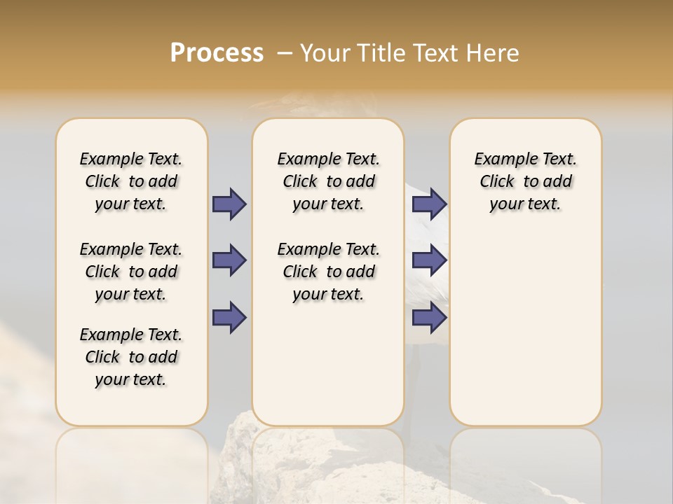 Species Mediterranean Birdwatching PowerPoint Template