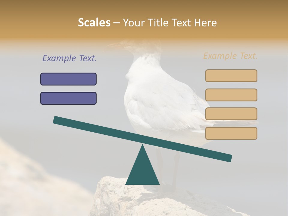 Species Mediterranean Birdwatching PowerPoint Template