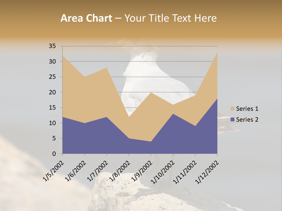 Species Mediterranean Birdwatching PowerPoint Template