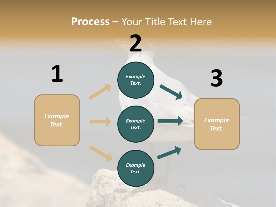 Species Mediterranean Birdwatching PowerPoint Template