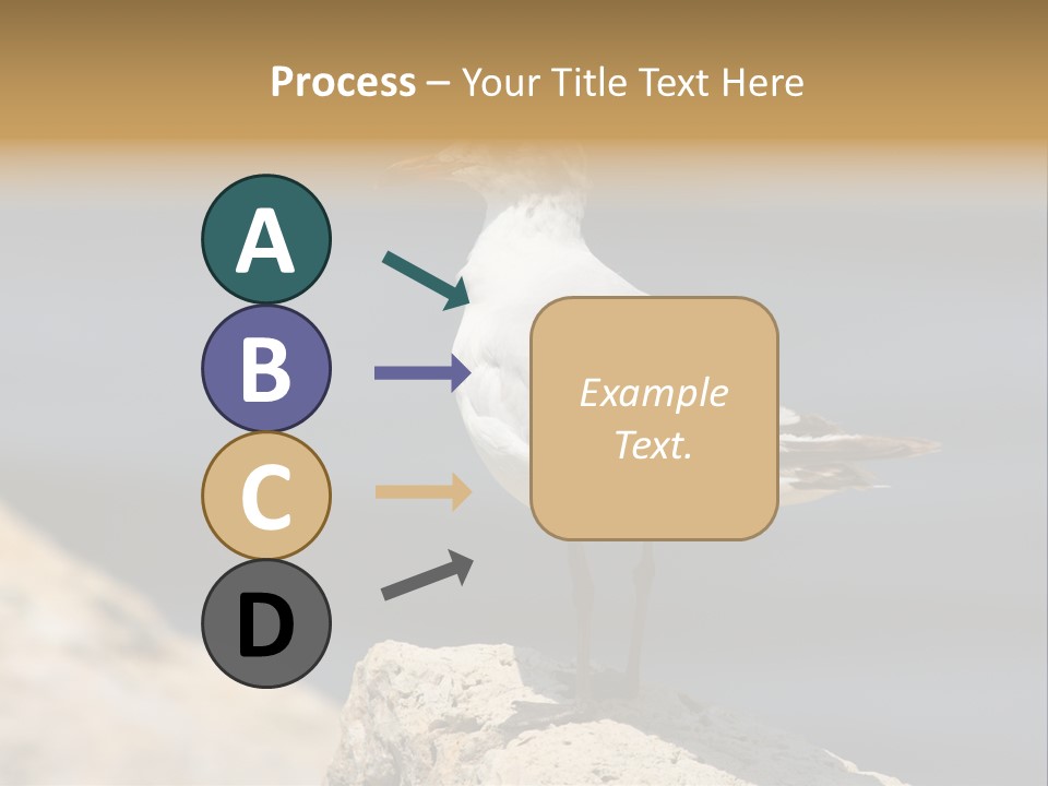 Species Mediterranean Birdwatching PowerPoint Template