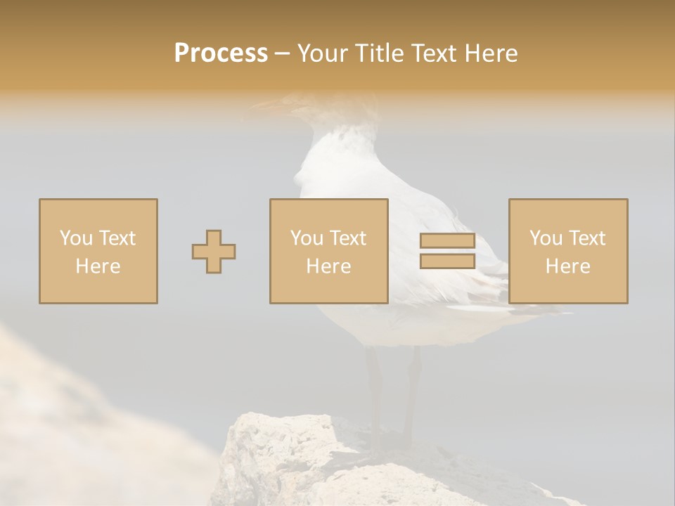 Species Mediterranean Birdwatching PowerPoint Template