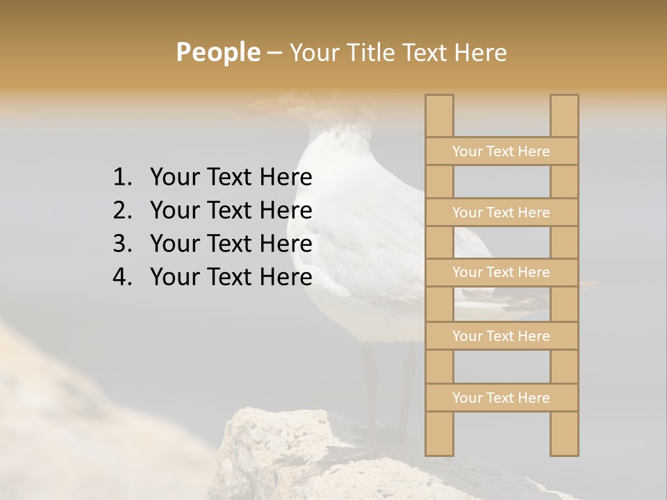 Species Mediterranean Birdwatching PowerPoint Template