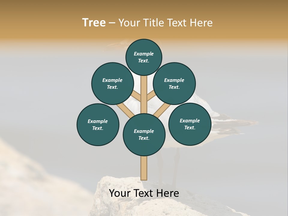 Species Mediterranean Birdwatching PowerPoint Template