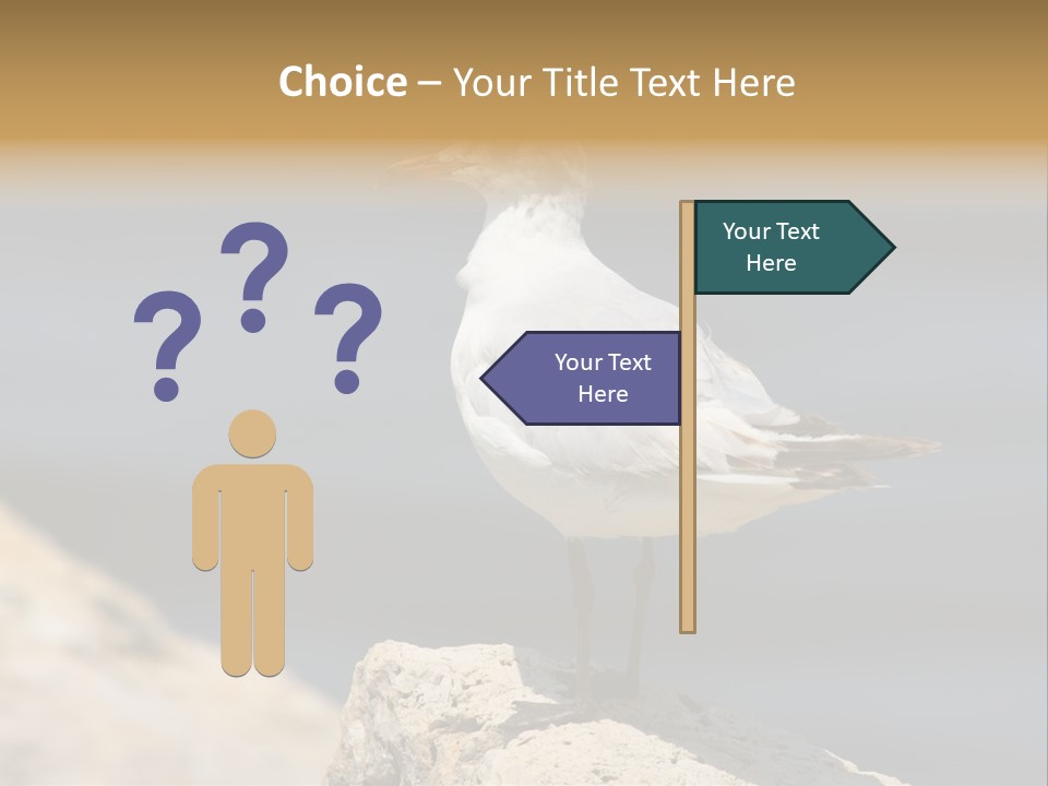 Species Mediterranean Birdwatching PowerPoint Template