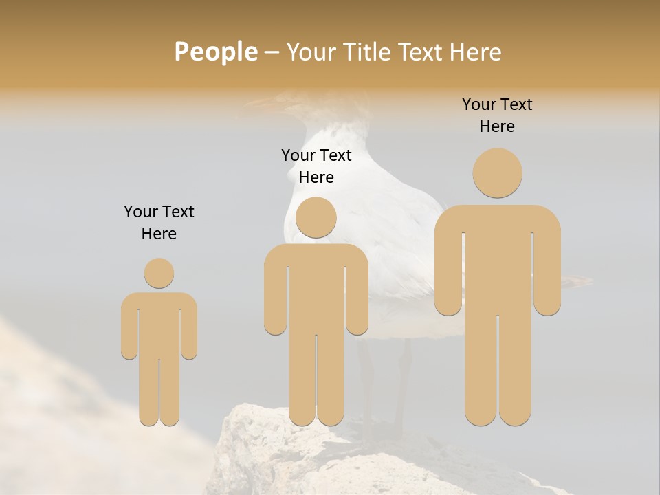 Species Mediterranean Birdwatching PowerPoint Template