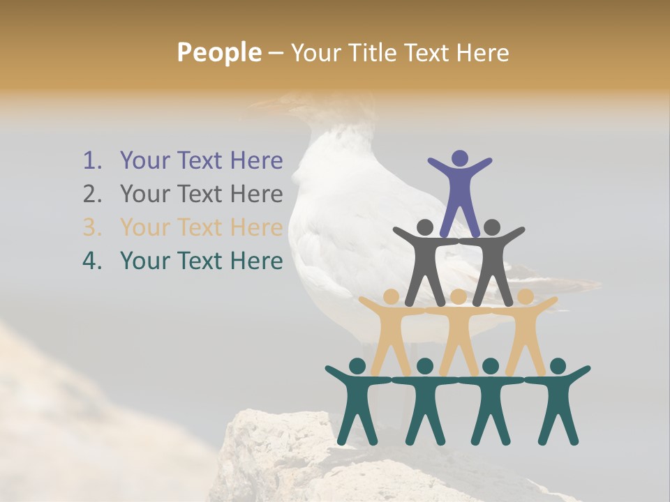 Species Mediterranean Birdwatching PowerPoint Template