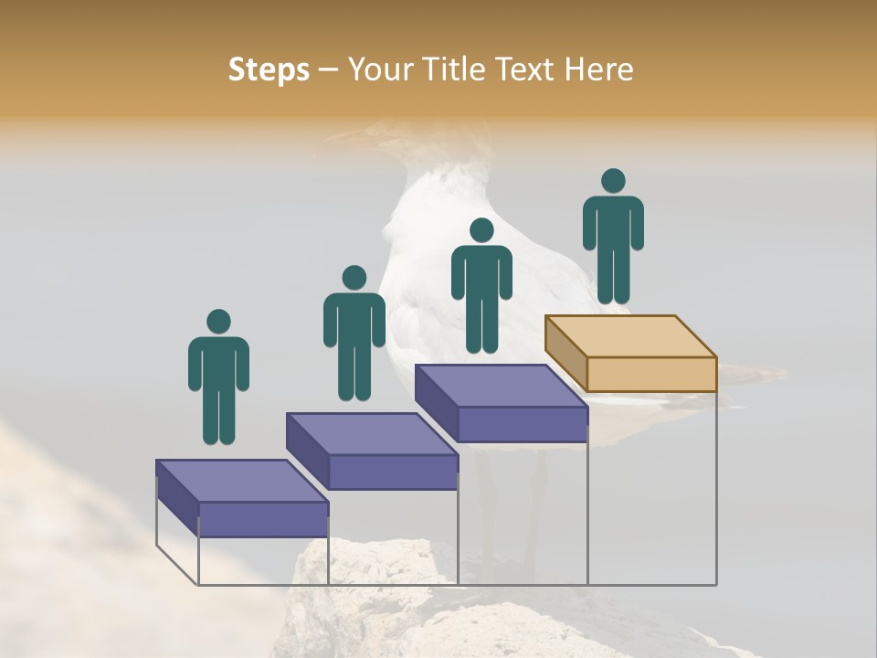 Species Mediterranean Birdwatching PowerPoint Template