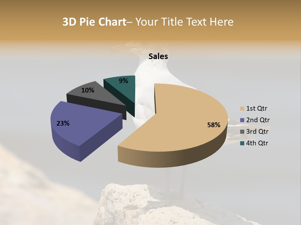 Species Mediterranean Birdwatching PowerPoint Template