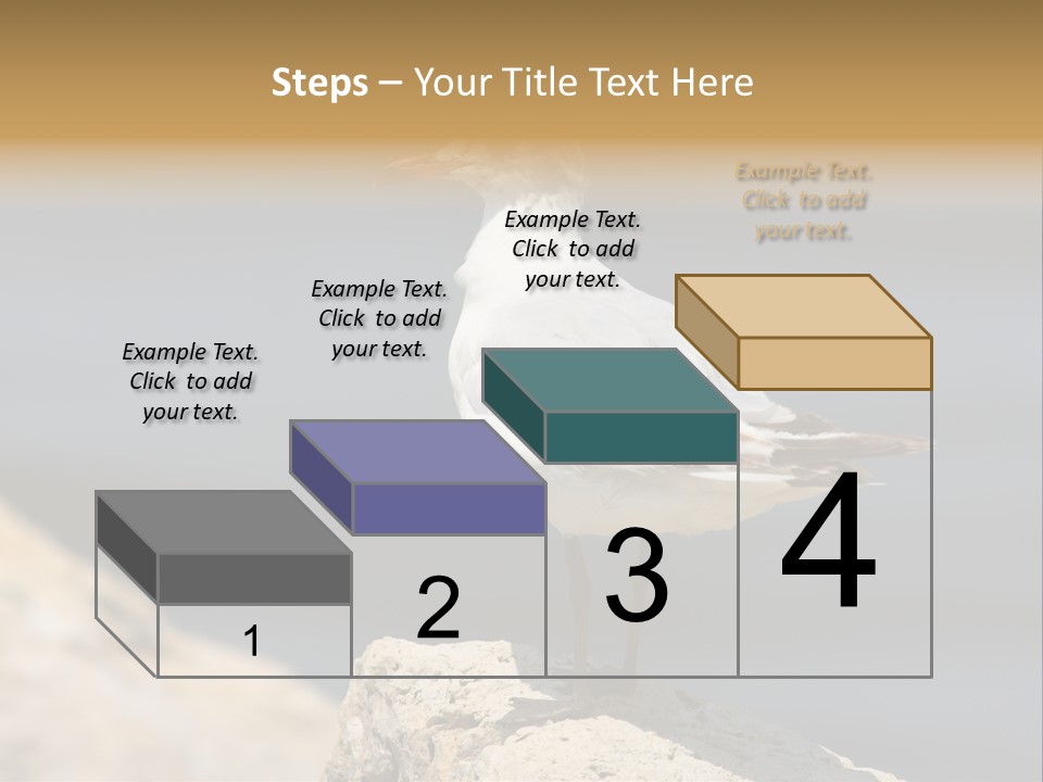 Species Mediterranean Birdwatching PowerPoint Template