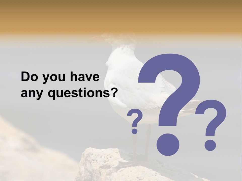 Species Mediterranean Birdwatching PowerPoint Template