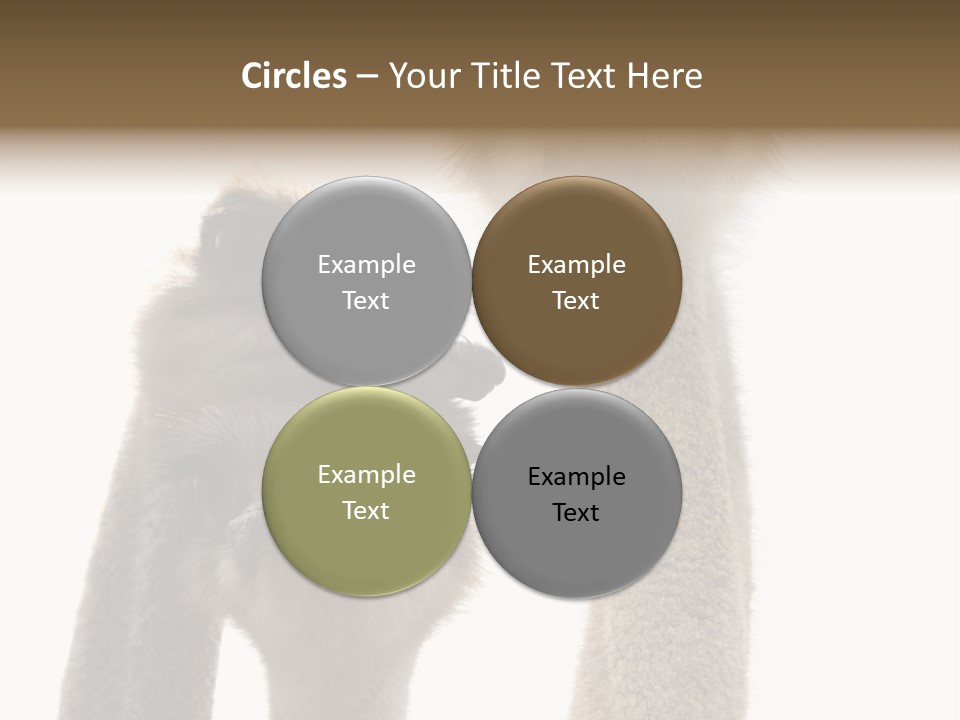 Curiosity Closeup Antilles PowerPoint Template