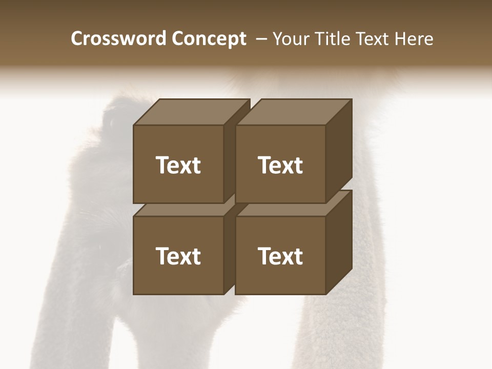 Curiosity Closeup Antilles PowerPoint Template