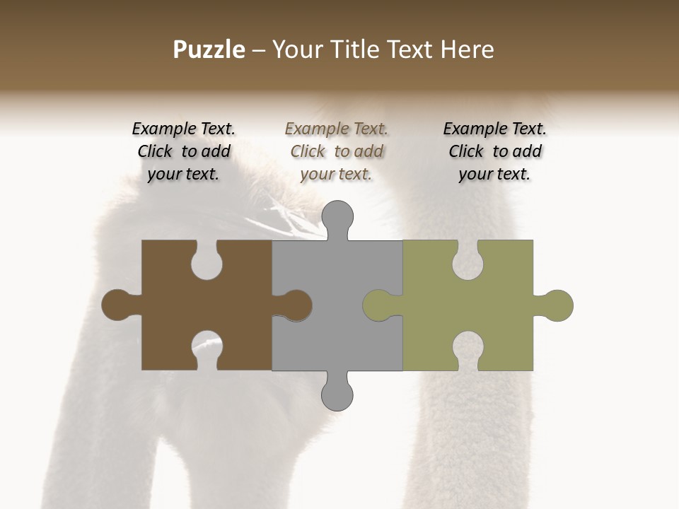 Curiosity Closeup Antilles PowerPoint Template