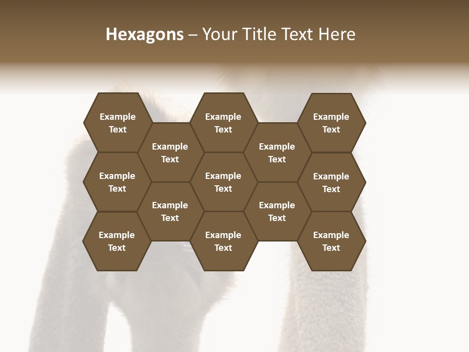 Curiosity Closeup Antilles PowerPoint Template