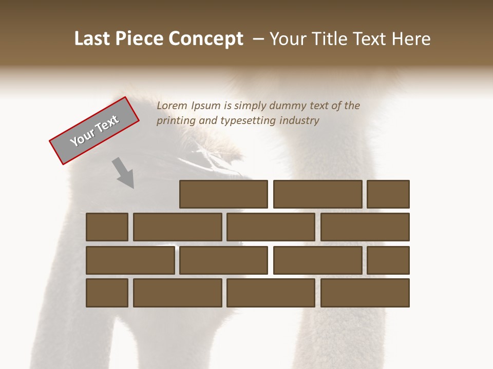 Curiosity Closeup Antilles PowerPoint Template