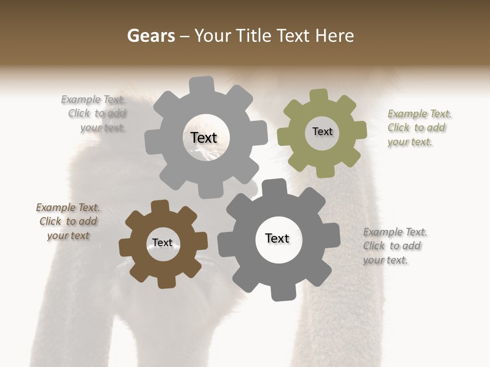 Curiosity Closeup Antilles PowerPoint Template