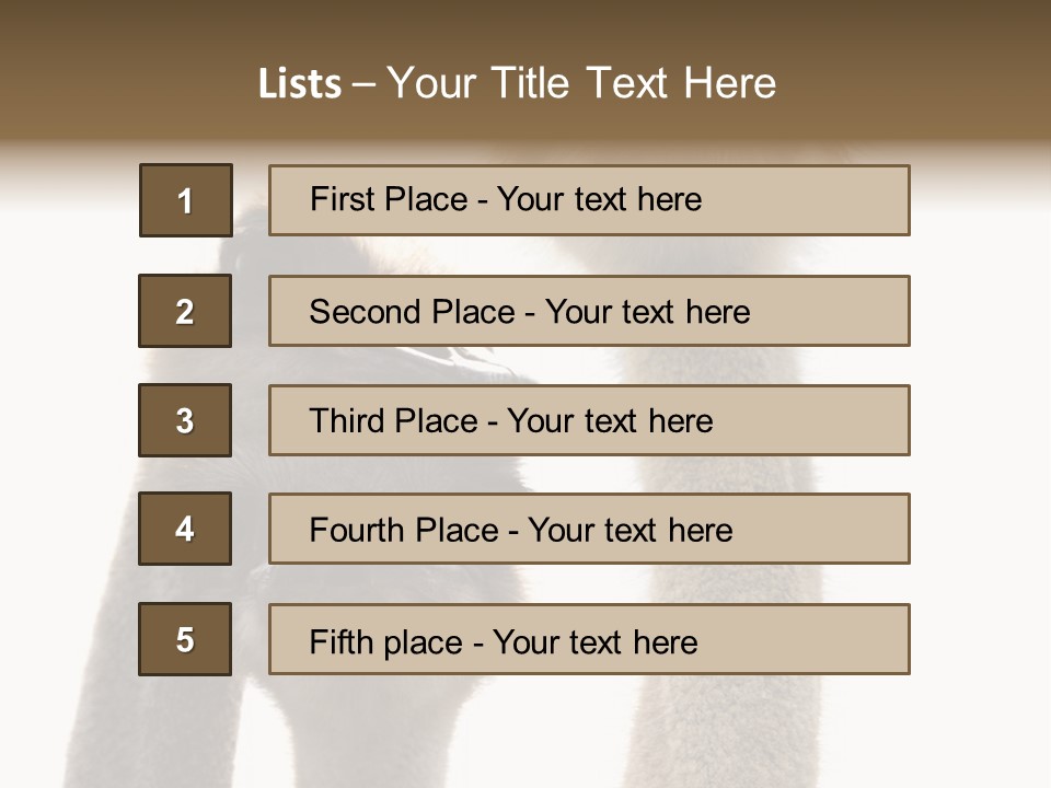 Curiosity Closeup Antilles PowerPoint Template