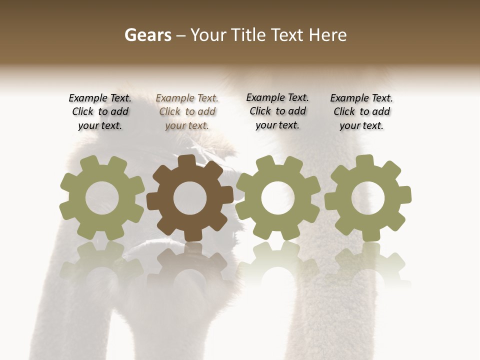 Curiosity Closeup Antilles PowerPoint Template