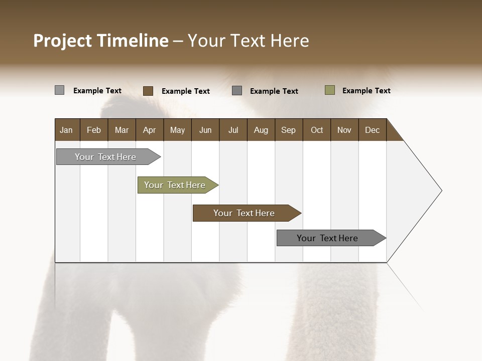 Curiosity Closeup Antilles PowerPoint Template