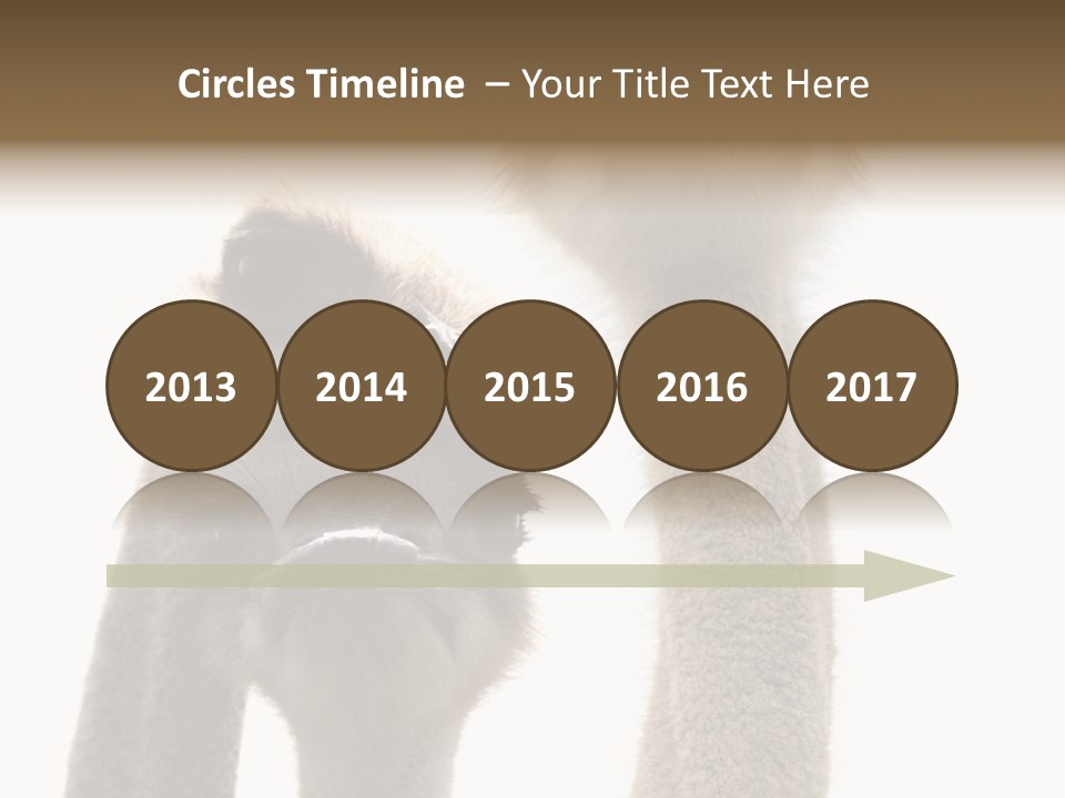 Curiosity Closeup Antilles PowerPoint Template