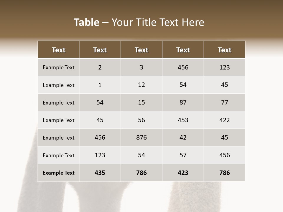 Curiosity Closeup Antilles PowerPoint Template