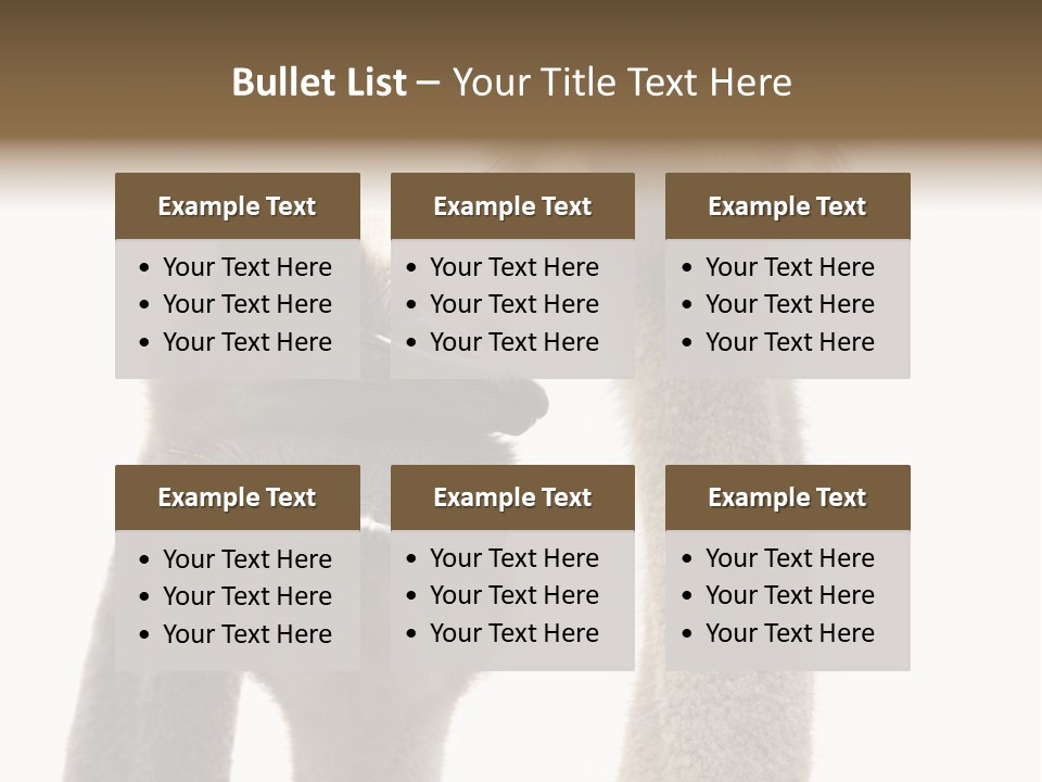 Curiosity Closeup Antilles PowerPoint Template