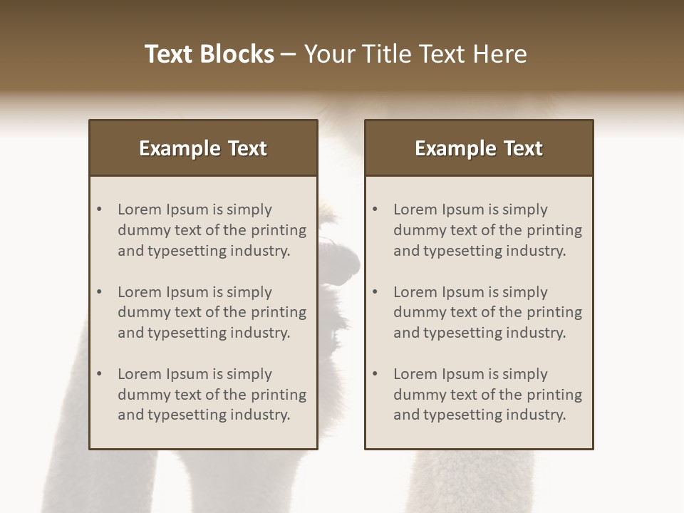 Curiosity Closeup Antilles PowerPoint Template