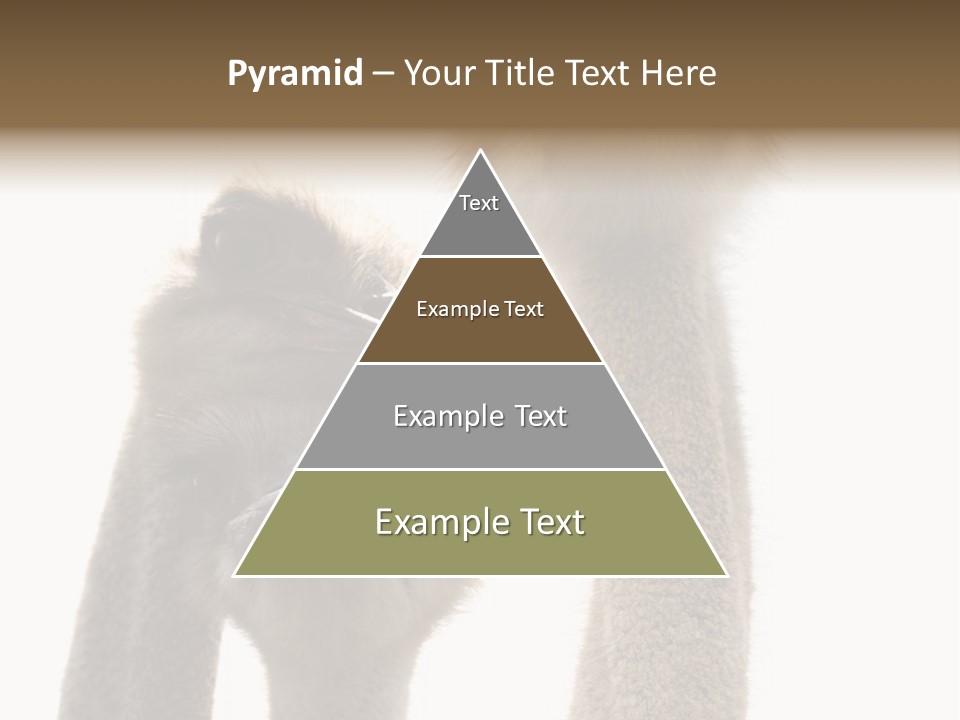 Curiosity Closeup Antilles PowerPoint Template