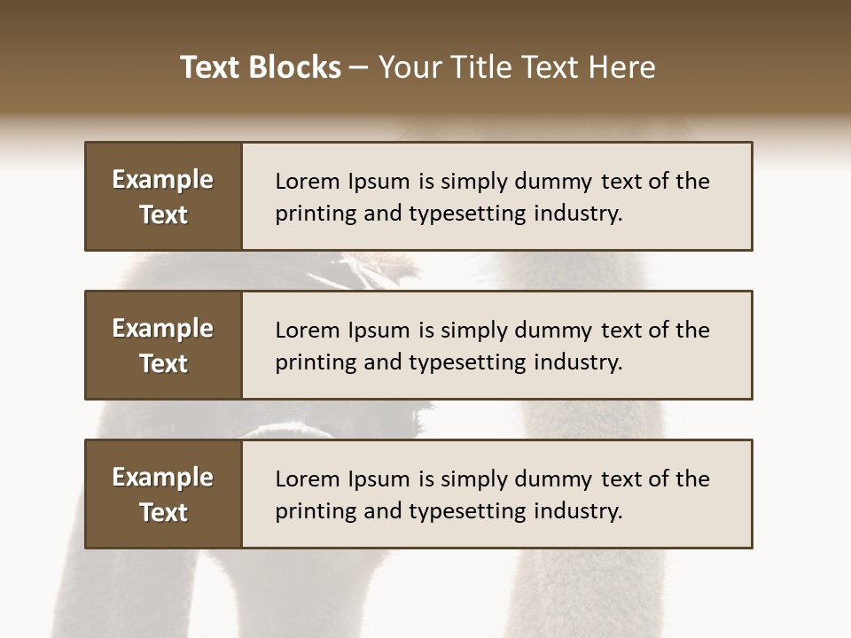 Curiosity Closeup Antilles PowerPoint Template