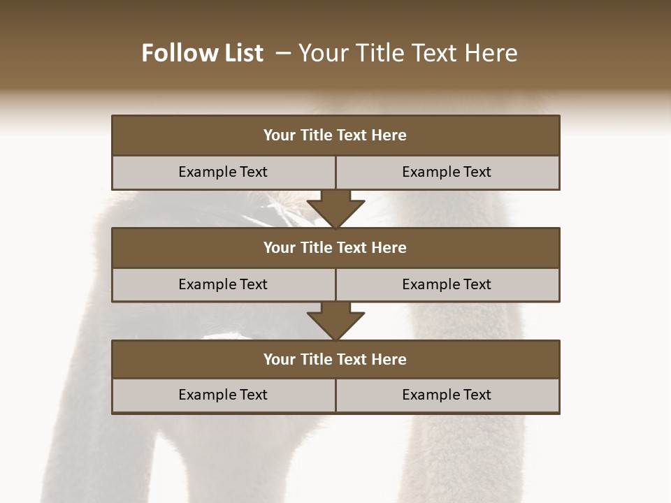 Curiosity Closeup Antilles PowerPoint Template