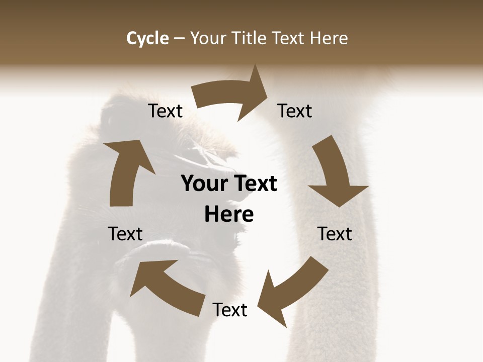 Curiosity Closeup Antilles PowerPoint Template