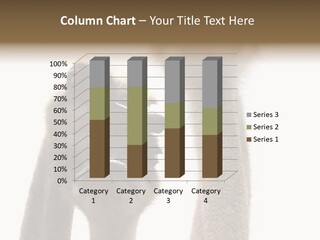 Curiosity Closeup Antilles PowerPoint Template