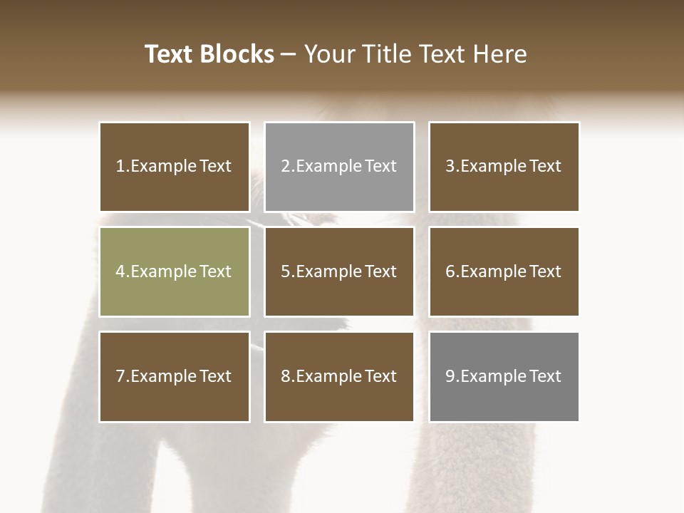 Curiosity Closeup Antilles PowerPoint Template