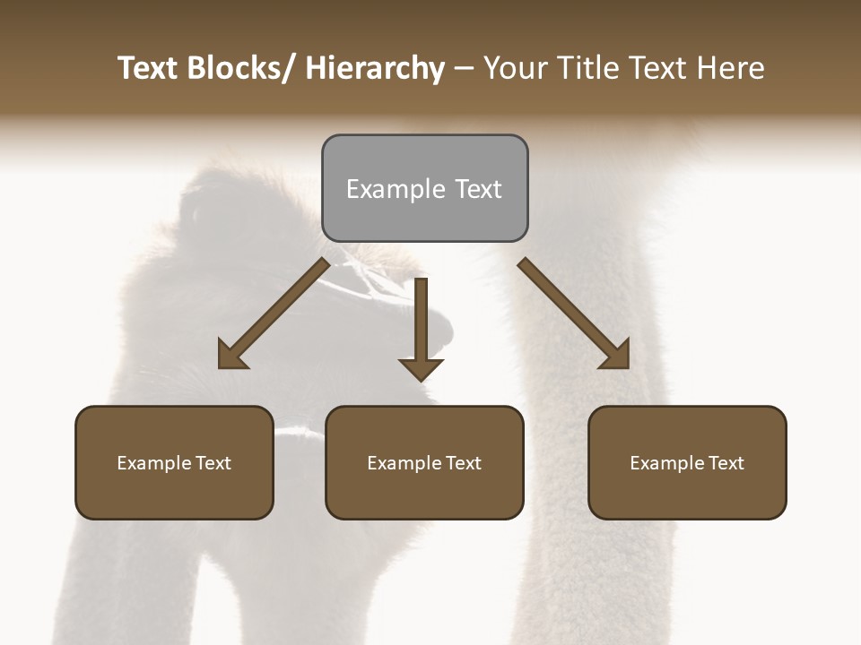 Curiosity Closeup Antilles PowerPoint Template