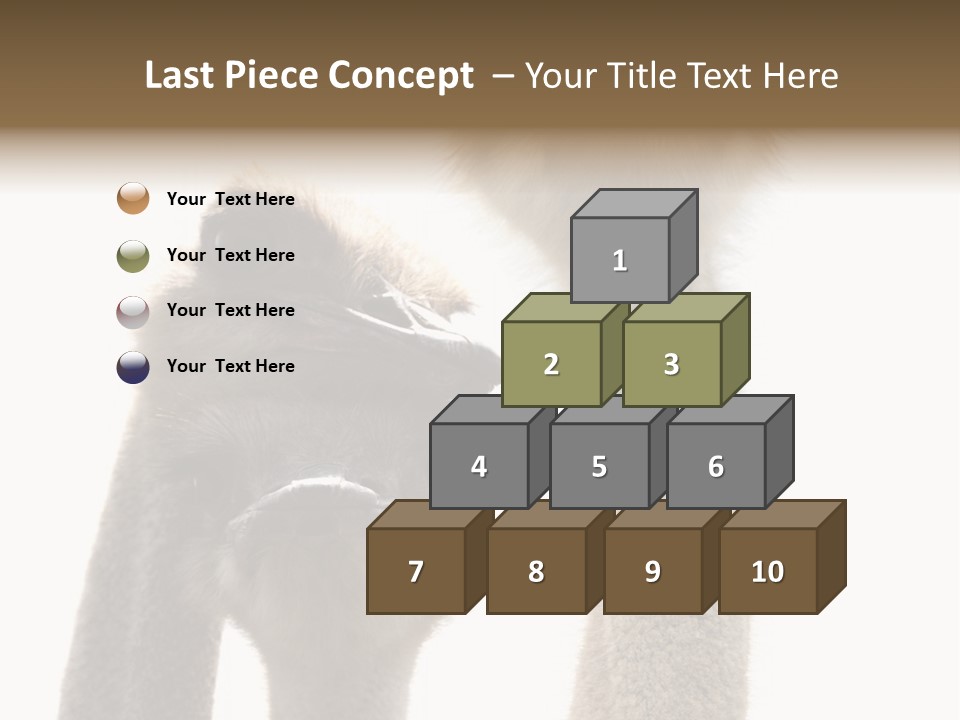 Curiosity Closeup Antilles PowerPoint Template