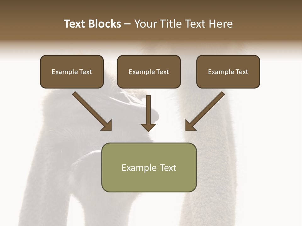 Curiosity Closeup Antilles PowerPoint Template
