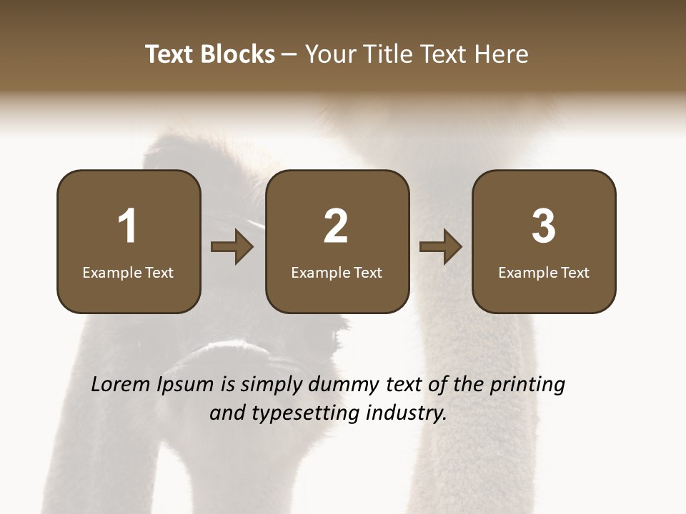 Curiosity Closeup Antilles PowerPoint Template