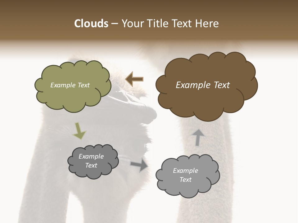 Curiosity Closeup Antilles PowerPoint Template