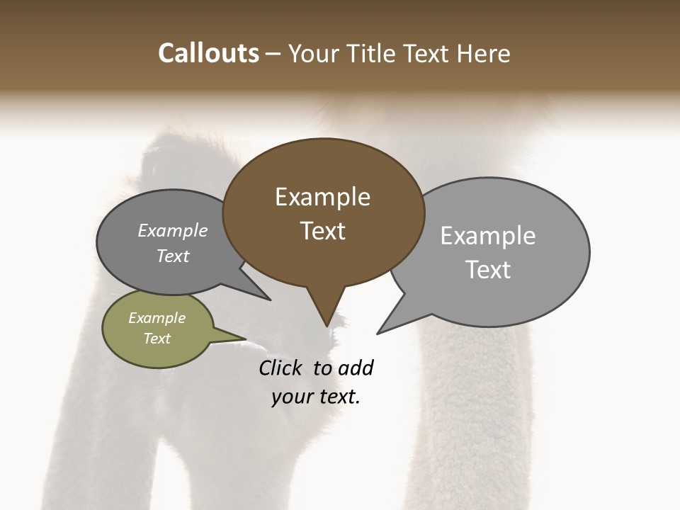 Curiosity Closeup Antilles PowerPoint Template